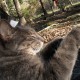 mouser-4