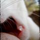 Malcolm munching on my fingers