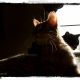 Tessa & Diego / catching the morning sun