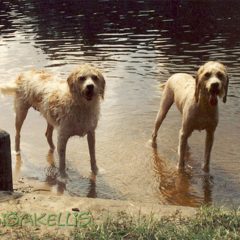 Brie & Isak swimming in Austin